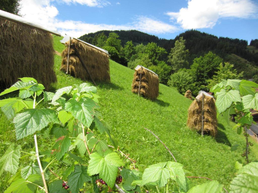 Heidi'S Schlummerkiste Am Fuss Der Teichalm Breitenau am Hochlantsch Εξωτερικό φωτογραφία