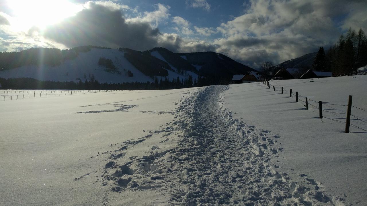 Heidi'S Schlummerkiste Am Fuss Der Teichalm Breitenau am Hochlantsch Εξωτερικό φωτογραφία
