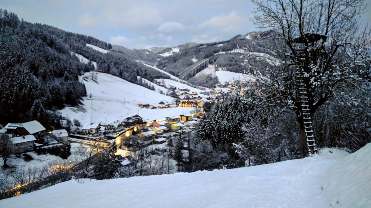 Heidi'S Schlummerkiste Am Fuss Der Teichalm Breitenau am Hochlantsch Εξωτερικό φωτογραφία