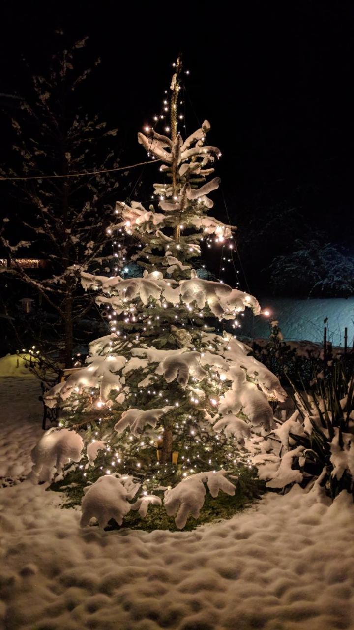 Heidi'S Schlummerkiste Am Fuss Der Teichalm Breitenau am Hochlantsch Εξωτερικό φωτογραφία